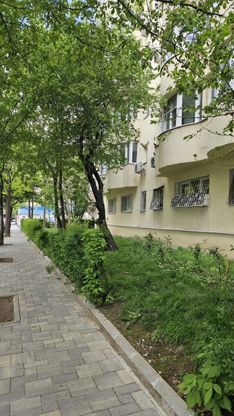 Lacul Tei, Facultate,