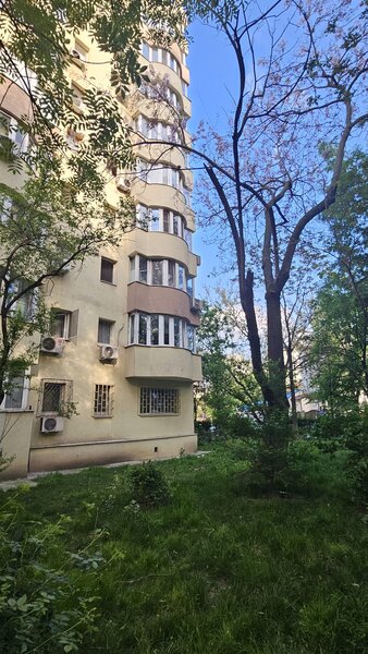Lacul Tei, Facultate, proprietar